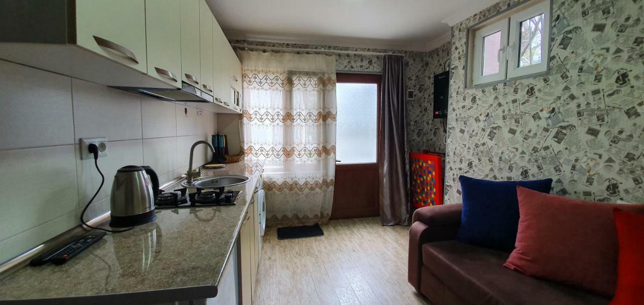 Parkside Apartment Borjomi Exterior foto